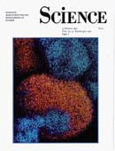 Science Cover 1990