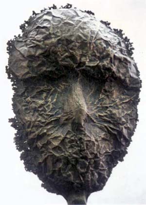 bronze mask